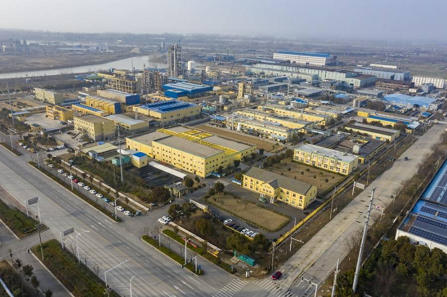 郑州弘正企业经营服务有限公司药业首次公开发行股票并上市辅导备案信息公示